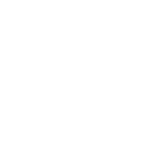 PORTFOLIO STRESS TESTING